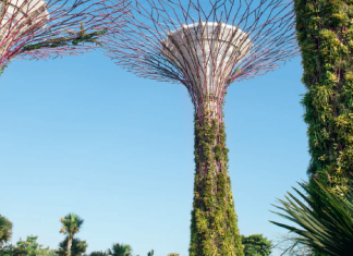 Singapore - Bali: From futuristic to spiritual Singapore - Bali: From futuristic to spiritual