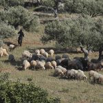La Crète, presqu&rsquo;île d&rsquo; Akrotiri