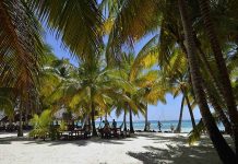 the island of Saona the island of Saona