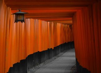 In Kyoto, the alley leading to the Fushimi Inari Taisha shrine is lined for four kilometres with 10,000 toriis, bright red portals that separate the material world from the spiritual world.