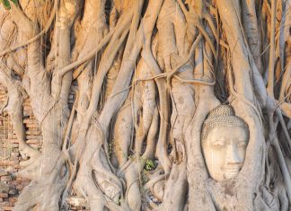 Ayutthaya