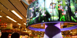 Travel-pass-Changi