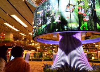Travel-pass-Changi