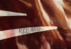 THALYS-175ans-red-arrow