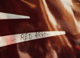 THALYS-175ans-red-arrow