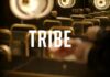 Accor Tribe