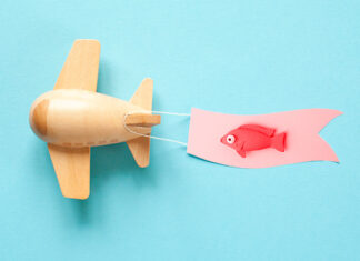 Un petit avion, un petit poisson s'aimaient d'amour tendre...