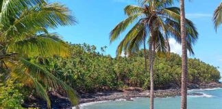 La Guyane nourrit de grandes ambitions pour le tourisme d'affaires