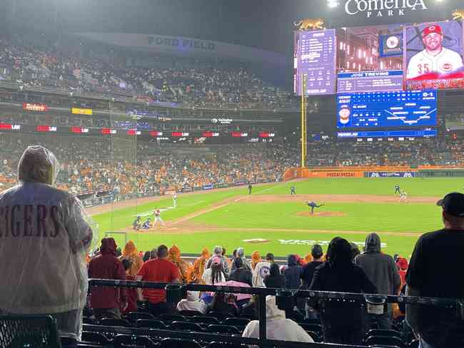 Tigers